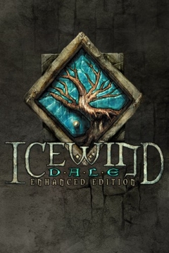 Poster Icewind Dale: Enhanced Edition