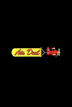 Poster Air Duel