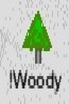 Poster Woody