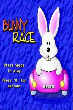 Poster Bunny Race
