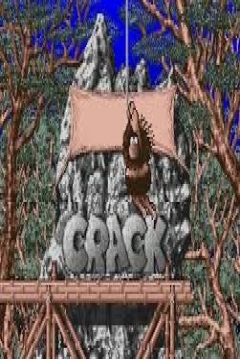 Poster Crack