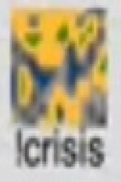 Poster Crisis