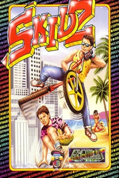 Poster Skidz