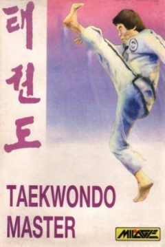 Poster TaeKwonDo Master
