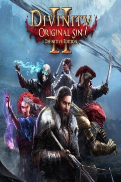 Poster Divinity: Original Sin 2