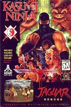 Poster Kasumi Ninja