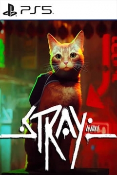 Poster Stray