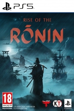 Poster Rise of The Ronin