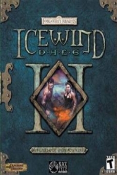 Poster Icewind Dale II