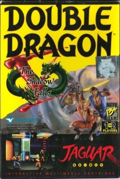 Poster Double Dragon V
