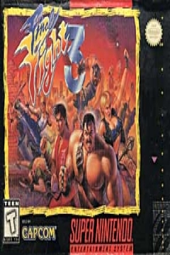 Poster Final Fight 3