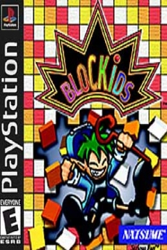 Poster Blockids