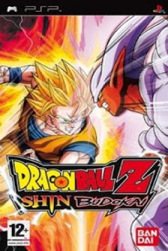 Poster Dragon Ball Z: Shin Budokai