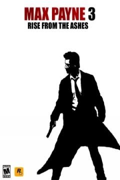 Poster Max Payne 3