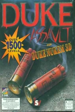 Poster Duke Assault