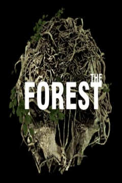 Poster The Forest