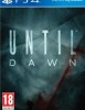 Until Dawn