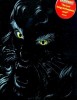 Lionheart