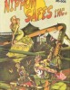 Nippon Safes, Inc.