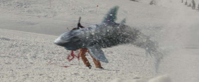 Avalanche Sharks
