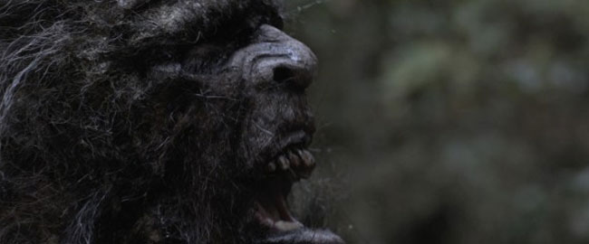 Trailer para ‘Stomping Ground’, en busca del Bigfoot