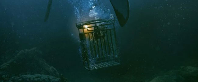 Tiburones en el nuevo cartel de ‘In The Deep’