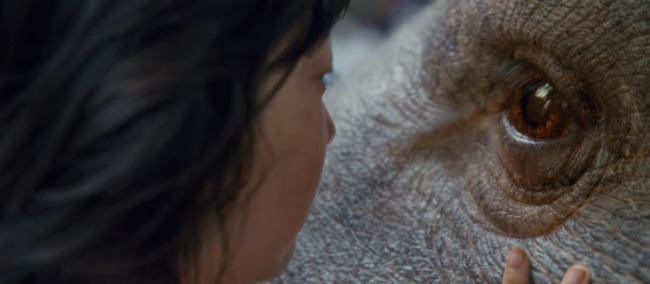 Primer trailer de ‘Okja’, del director de ‘Snowpierce’