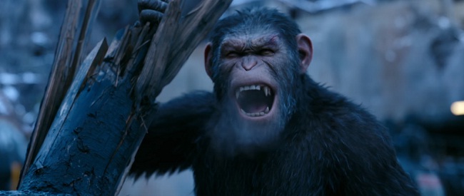Nuevo trailer en español de ‘La Guerra del Planeta de los Simios’: Simio Malo