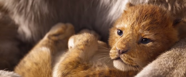 Nuevo trailer para “El Rey Leon”