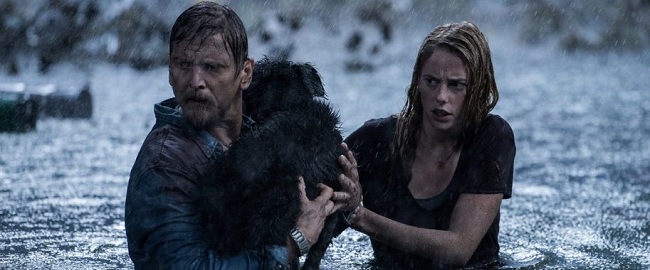 Primeras imágenes de “Crawl”, de Alexandre Aja