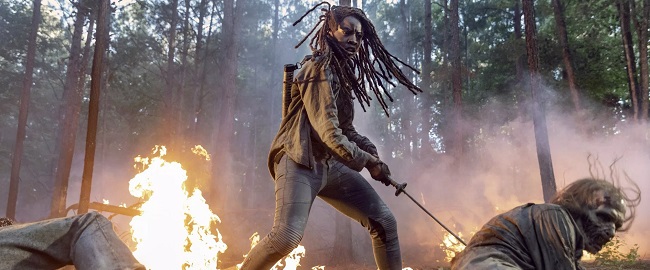 Argumento de la 10ª temporada de “The Walking Dead”