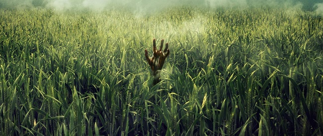 “En la hierba alta” de Stephen King y Joe Hill inaugurará el Festival de Sitges