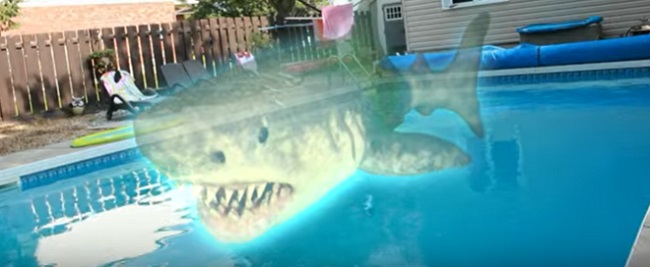Trailer para “Ouija Shark”, espíritus de tiburones