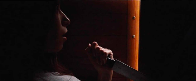 Primer trailer para “Homewrecker”, de Zach Gayne