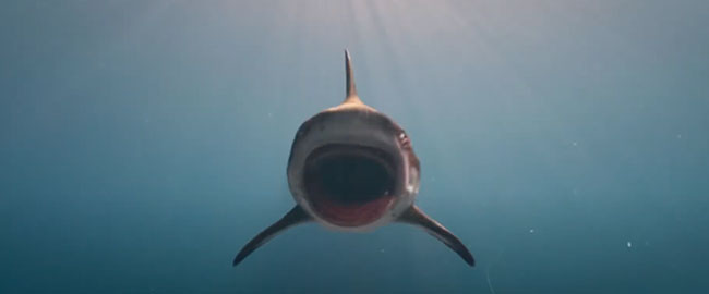 Primeros clips de la tercera parte de “Deep Blue Sea”