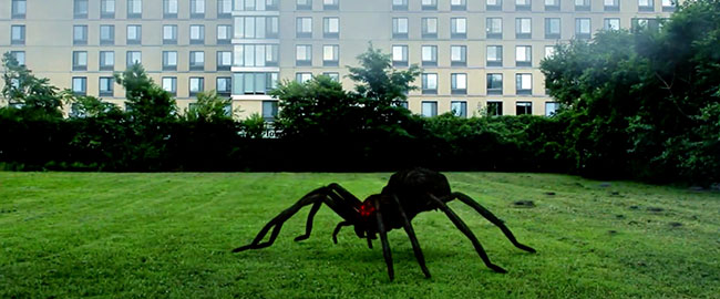Póster y trailer para... ¡¡¡“Arachnado”!!!