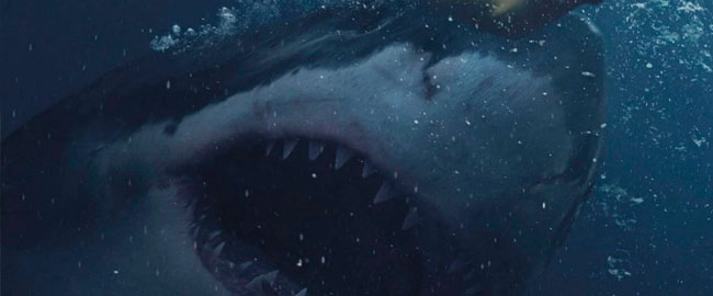 Primer póster en español para “Tiburón Blanco”