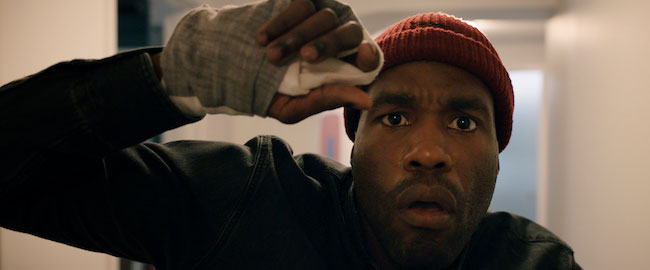 leer más Taquilla Ñ: “La Patrulla Canina” puede con “Candyman” y “Reminiscencia”