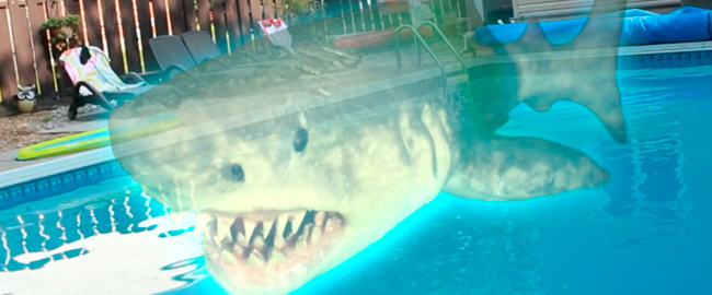 La cinta de tiburones “Ouija Shark” tendrá secuela