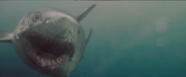 Trailer en español y fecha para “Maneater”, otra de tiburones