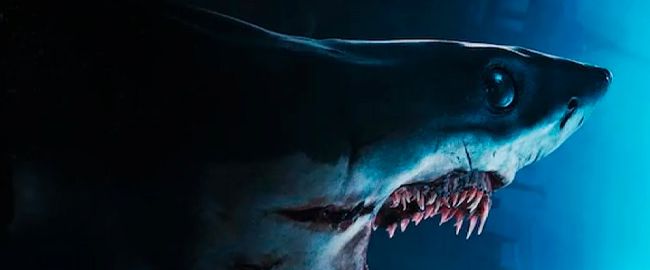 Trailer de “Mako”, una propuesta egipcia con tiburones