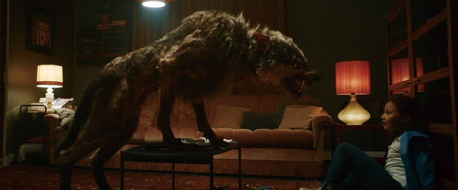“Lobo Vikingo” se estrena hoy en Netflix, no te pierdas su trailer en español