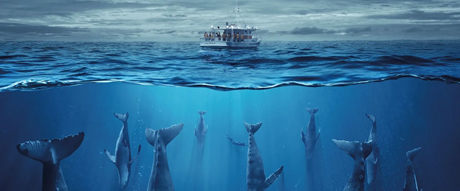 Trailer de la serie “The Swarm”, un thriller ecológico lleno de misterios marinos