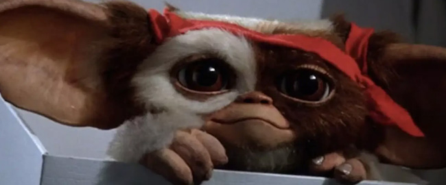 Zach Galligan se muestra optimista sobre una nueva secuela de “Gremlins”