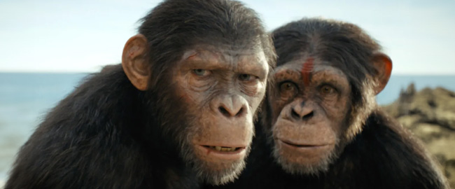Taquilla USA: “El Reino del Planeta de los Simios” se estrena con $56 millones 
