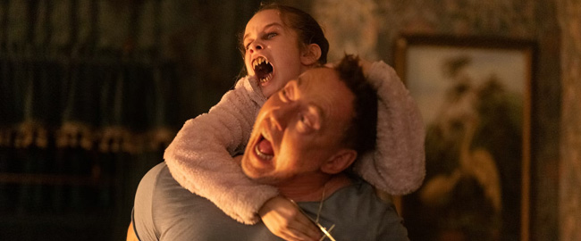 7 películas para disfrutar este fin de semana en streaming