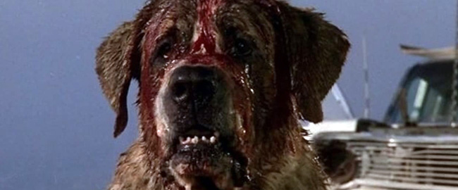 “Zeus”: Nuevo filme de terror con un perro asesino dirigido por David Blue Garcia