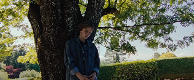 “Esperando La Noche”: Estrena su tráiler oficial en español