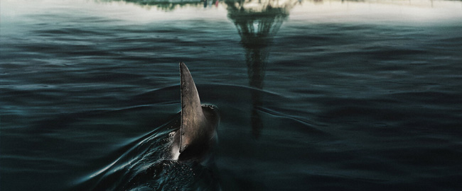 Netflix confirma el desarrollo de “En las Profundidades del Sena 2”, la secuela del éxito francés de terror con tiburones