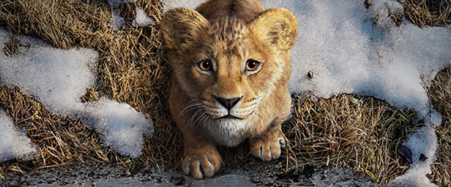 Avance Taquilla USA: “Mufasa” supera a “Sonic 3” y lidera el primer fin de semana de 2025